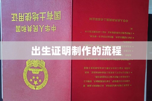 高明出生证明制作的流程