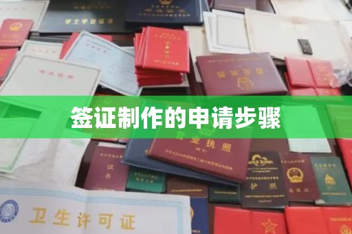 高明签证制作的申请步骤