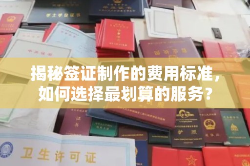 高明揭秘签证制作的费用标准，如何选择最划算的服务？