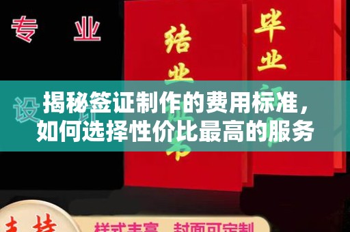 高明揭秘签证制作的费用标准，如何选择性价比最高的服务？